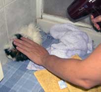 bagno4