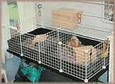 Copertura anti-gatto