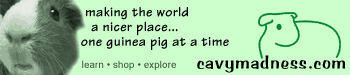 cavymadness